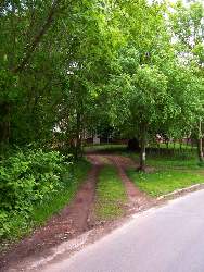 deichhausen55.jpg