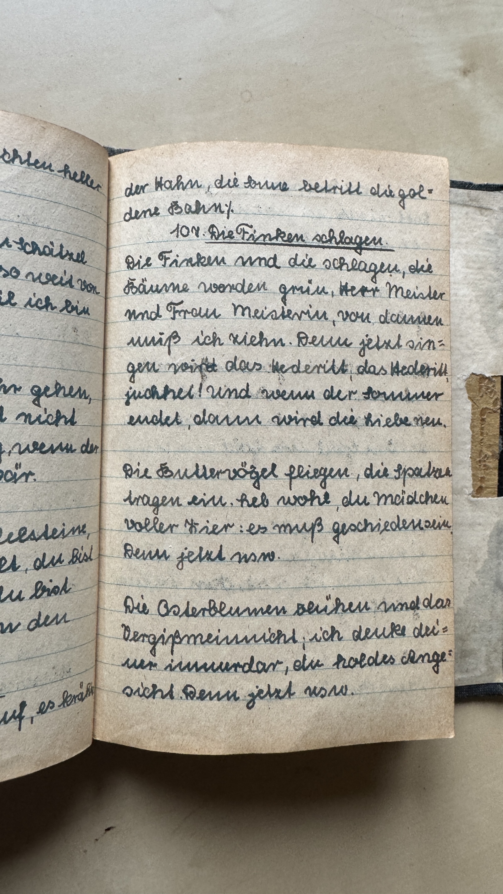 Original Liederbuch Seite 110