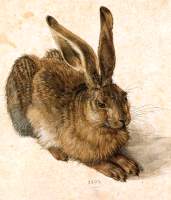 1502DuererHase.jpg