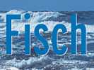 Broschüre Fisch