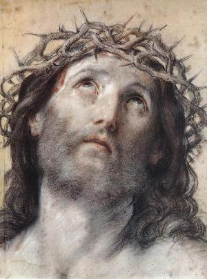 Bologneser Schule