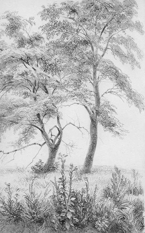 Skizze von Adolph Menzel, Blatt 37