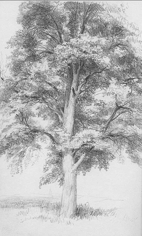 Skizze von Adolph Menzel, Blatt 42