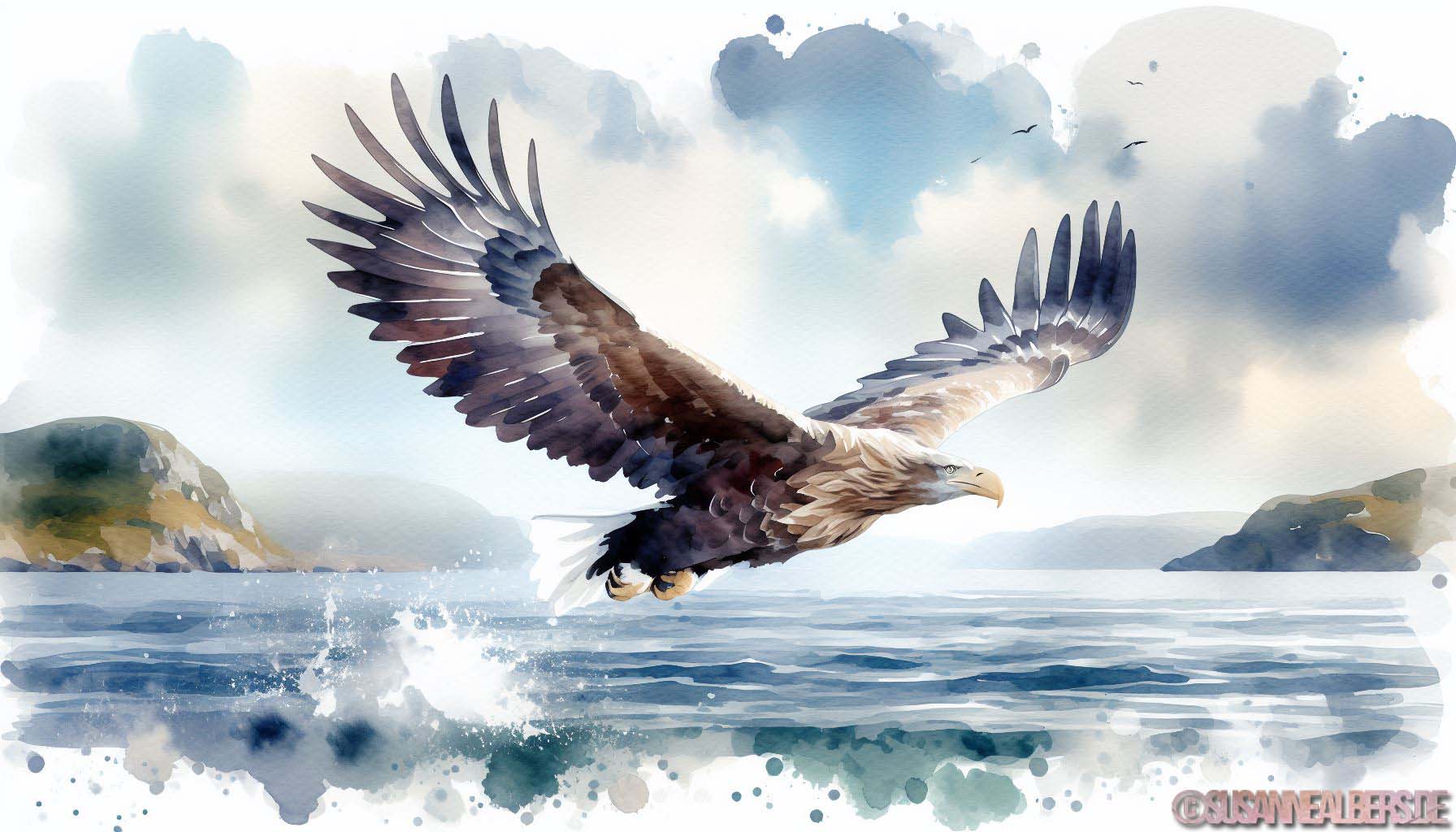 Seeadler